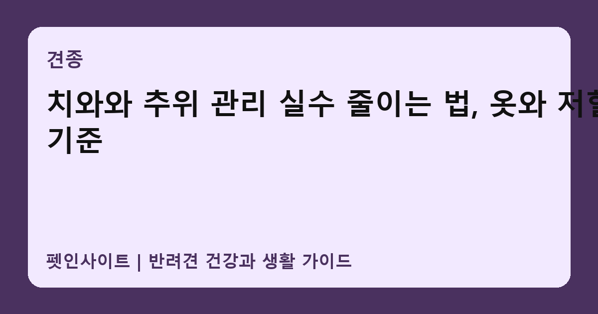 치와와 추위 관리 실수 줄이는 법, 옷와 저혈당 기준 썸네일