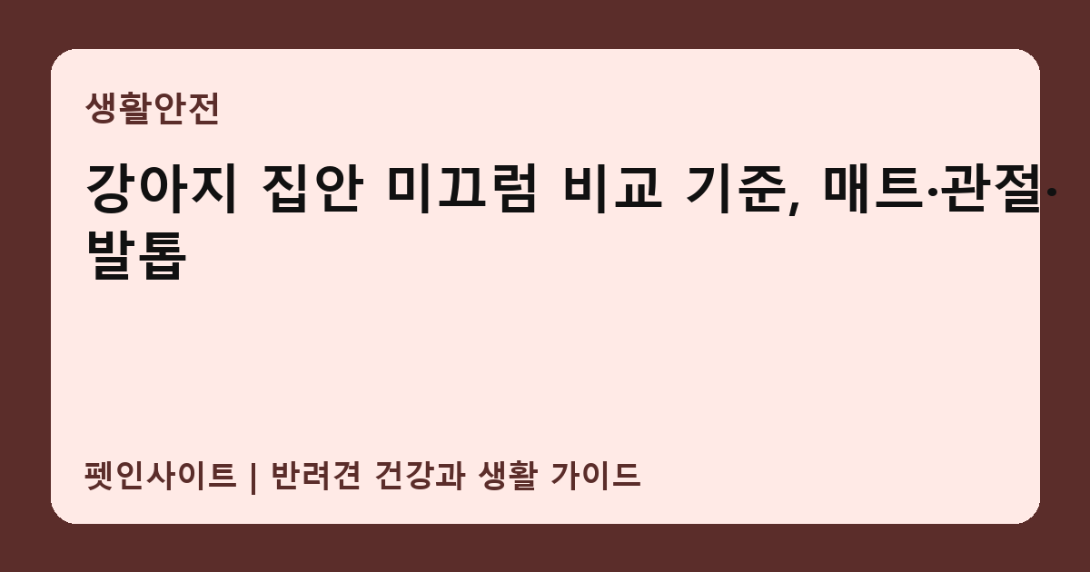 강아지 집안 미끄럼 비교 기준, 매트·관절·발톱 썸네일