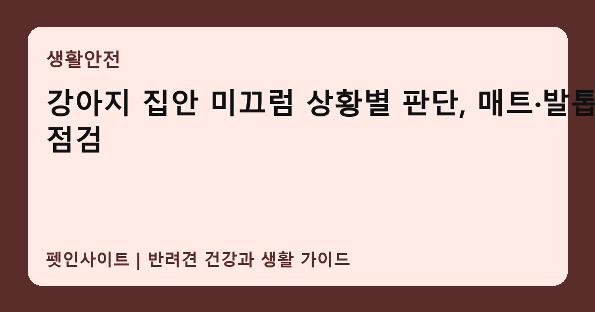 강아지 집안 미끄럼 상황별 판단, 매트·발톱 점검 썸네일