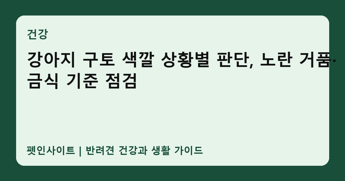 강아지 구토 색깔 상황별 판단, 노란 거품·금식 기준 점검 썸네일