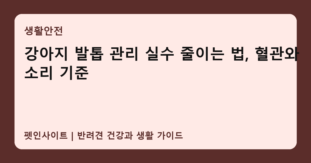강아지 발톱 관리 실수 줄이는 법, 혈관와 소리 기준 썸네일
