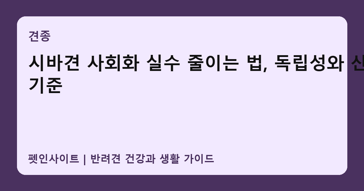 시바견 사회화 실수 줄이는 법, 독립성와 산책 기준 썸네일