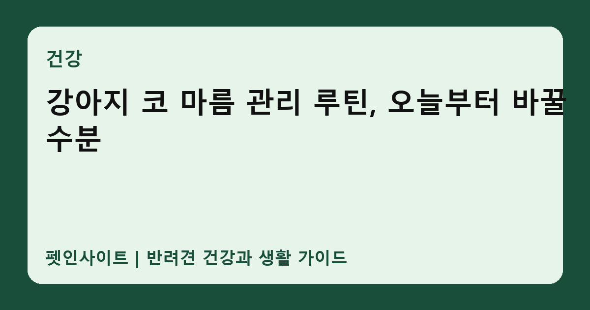 강아지 코 마름 관리 루틴, 오늘부터 바꿀 수분 썸네일