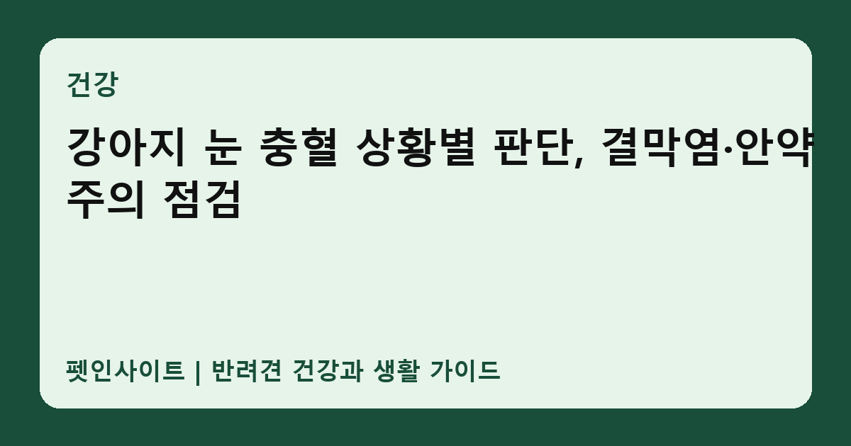 강아지 눈 충혈 상황별 판단, 결막염·안약 주의 점검 썸네일