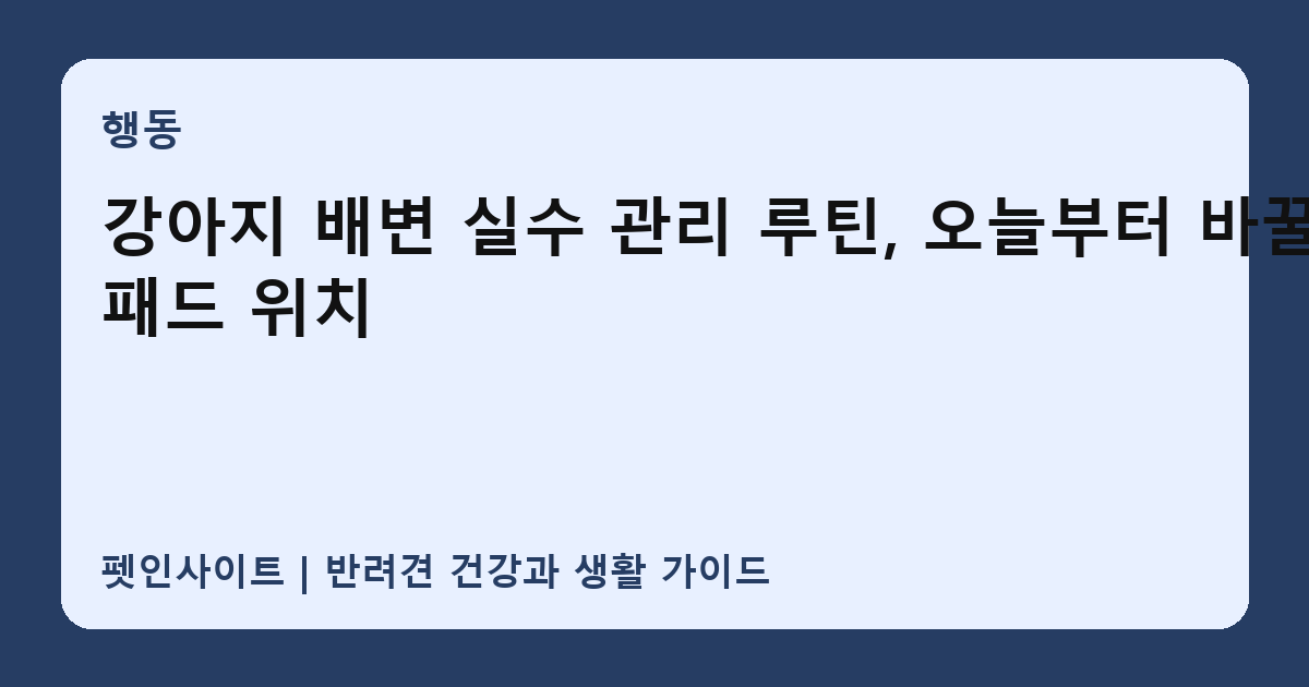 강아지 배변 실수 관리 루틴, 오늘부터 바꿀 패드 위치 썸네일