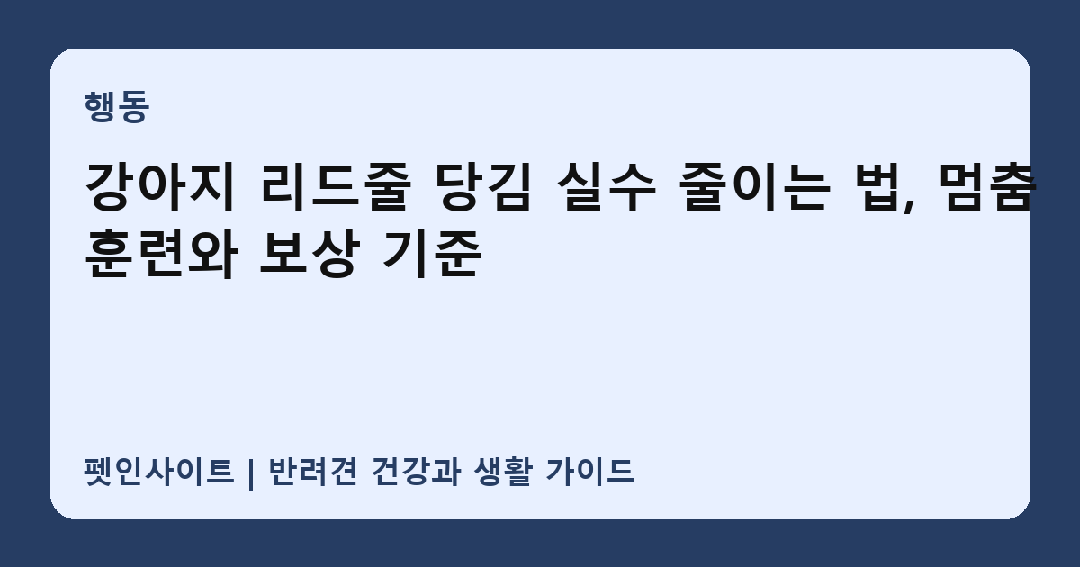강아지 리드줄 당김 실수 줄이는 법, 멈춤 훈련와 보상 기준 썸네일
