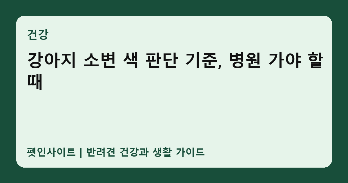 강아지 소변 색 판단 기준, 병원 가야 할 때 썸네일