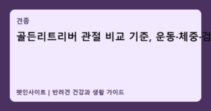 골든리트리버 관절 비교 기준, 운동·체중·검진 썸네일