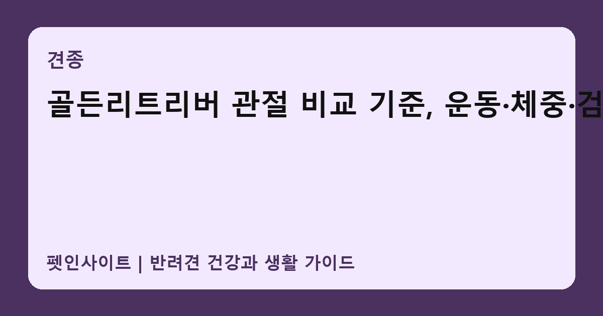 골든리트리버 관절 비교 기준, 운동·체중·검진 썸네일