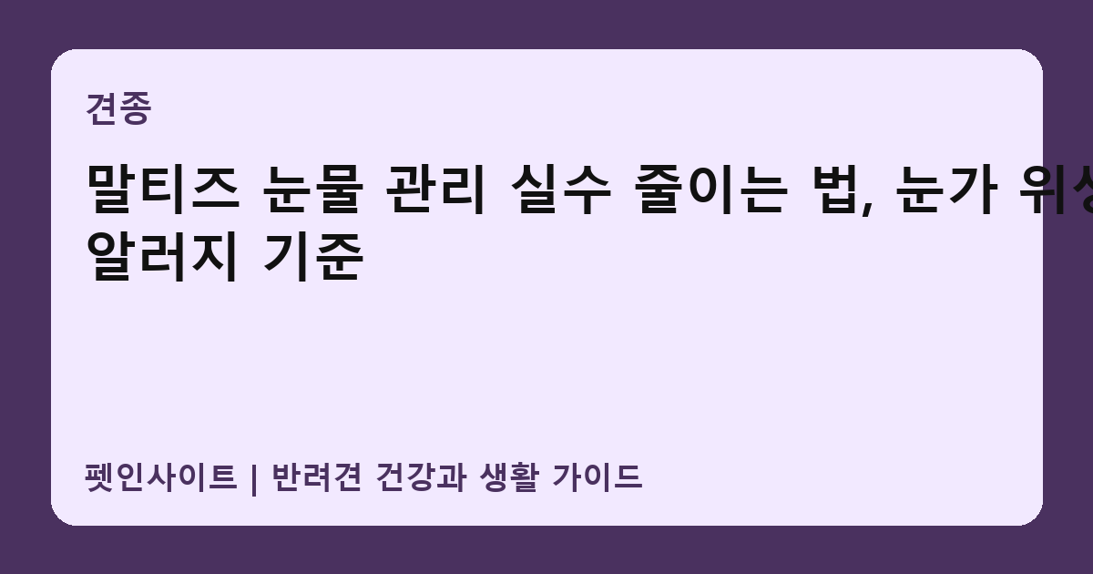 말티즈 눈물 관리 실수 줄이는 법, 눈가 위생와 알러지 기준 썸네일