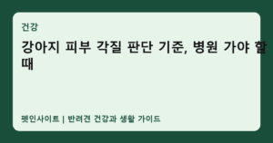 강아지 피부 각질 판단 기준, 병원 가야 할 때 썸네일