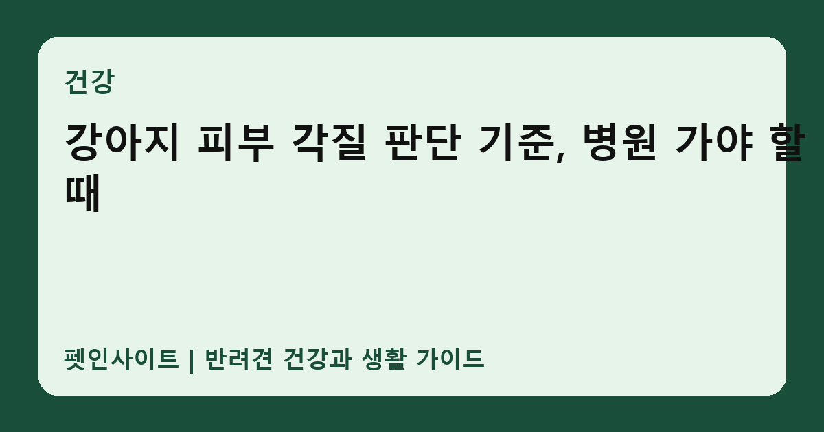 강아지 피부 각질 판단 기준, 병원 가야 할 때 썸네일