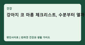 강아지 코 마름 체크리스트, 수분부터 열까지 썸네일