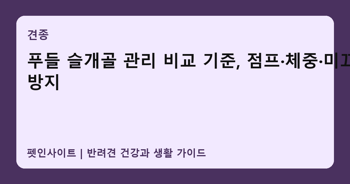 푸들 슬개골 관리 비교 기준, 점프·체중·미끄럼 방지 썸네일
