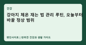 강아지 체온 재는 법 관리 루틴, 오늘부터 바꿀 정상 범위 썸네일