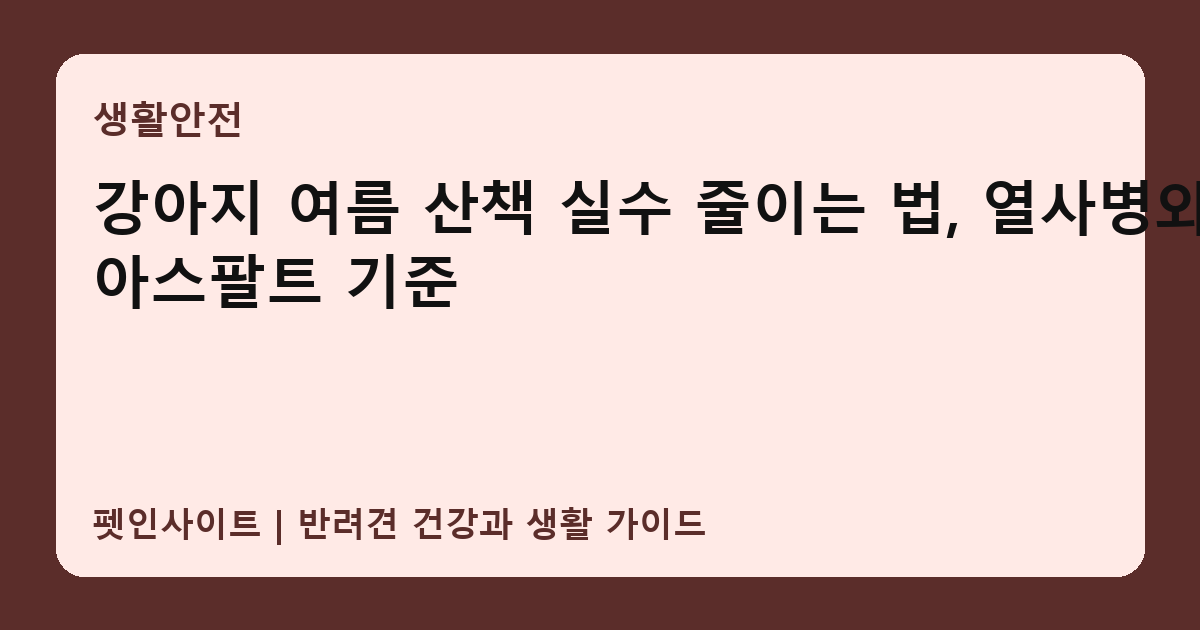 강아지 여름 산책 실수 줄이는 법, 열사병와 아스팔트 기준 썸네일