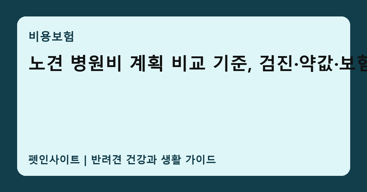 노견 병원비 계획 비교 기준, 검진·약값·보험 썸네일