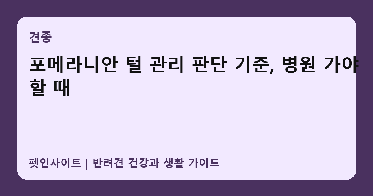 포메라니안 털 관리 판단 기준, 병원 가야 할 때 썸네일