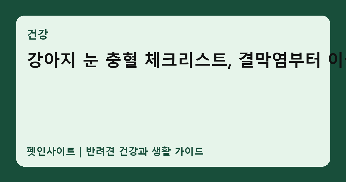 강아지 눈 충혈 체크리스트, 결막염부터 이물질까지 썸네일