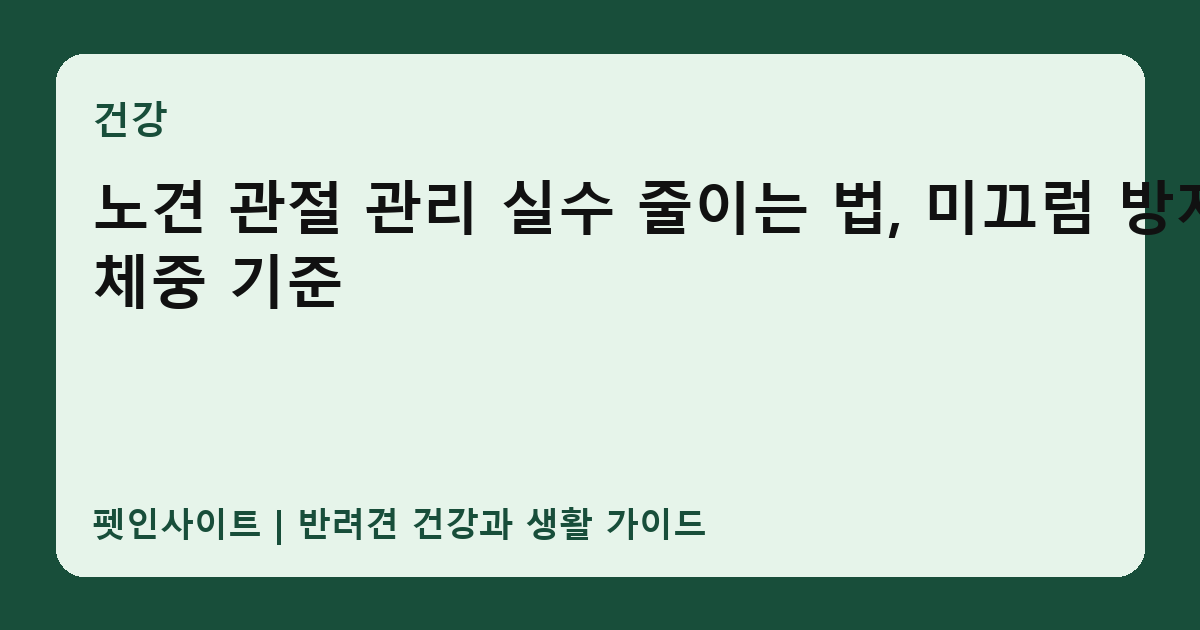 노견 관절 관리 실수 줄이는 법, 미끄럼 방지와 체중 기준 썸네일