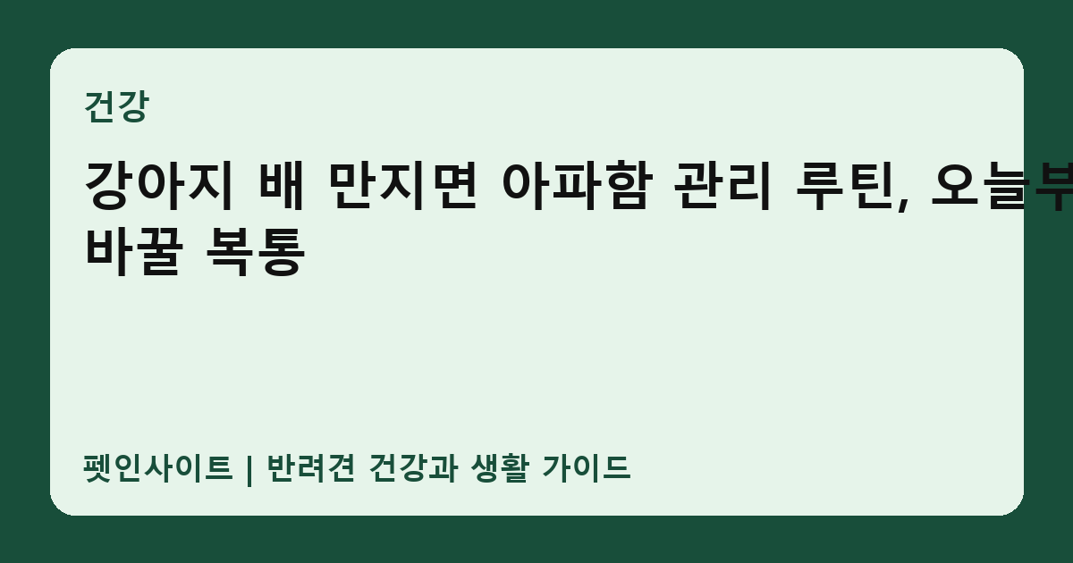 강아지 배 만지면 아파함 관리 루틴, 오늘부터 바꿀 복통 썸네일