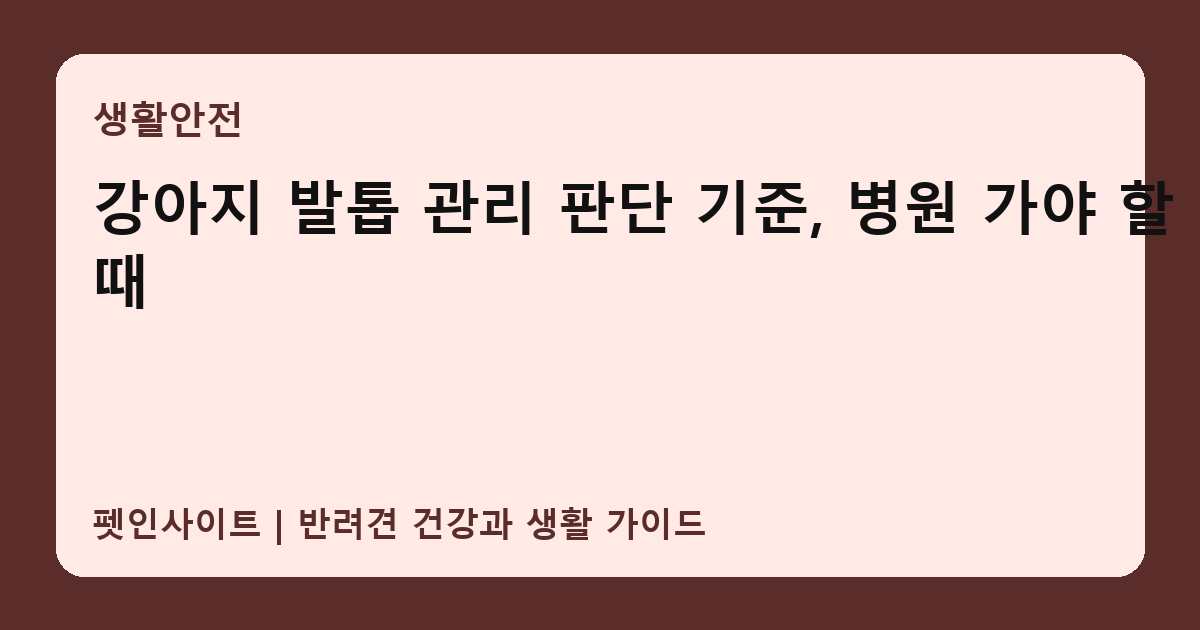 강아지 발톱 관리 판단 기준, 병원 가야 할 때 썸네일