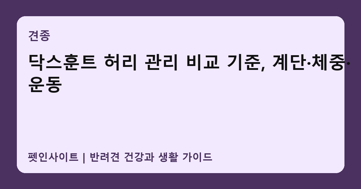 닥스훈트 허리 관리 비교 기준, 계단·체중·운동 썸네일