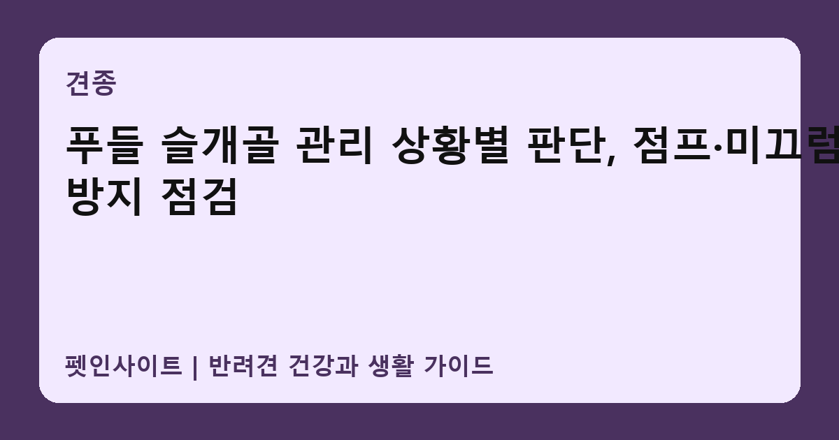 푸들 슬개골 관리 상황별 판단, 점프·미끄럼 방지 점검 썸네일