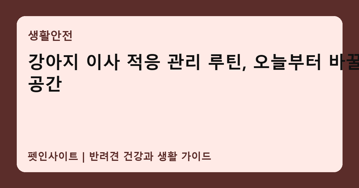 강아지 이사 적응 관리 루틴, 오늘부터 바꿀 공간 썸네일