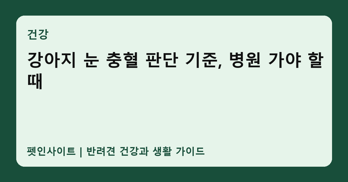 강아지 눈 충혈 판단 기준, 병원 가야 할 때 썸네일