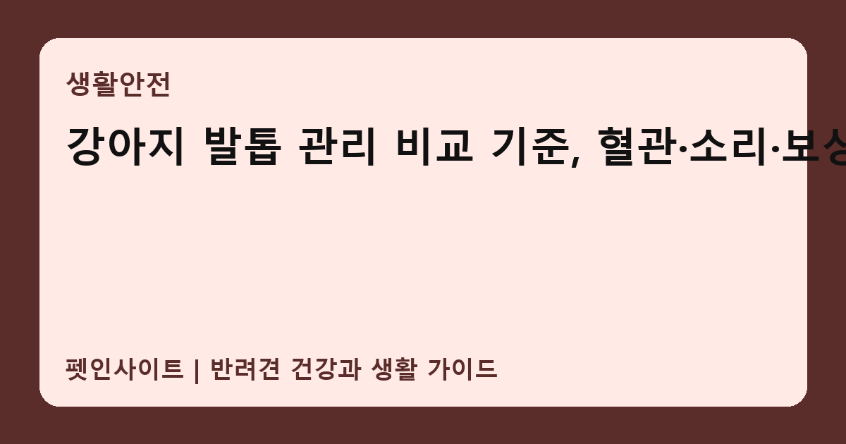 강아지 발톱 관리 비교 기준, 혈관·소리·보상 썸네일