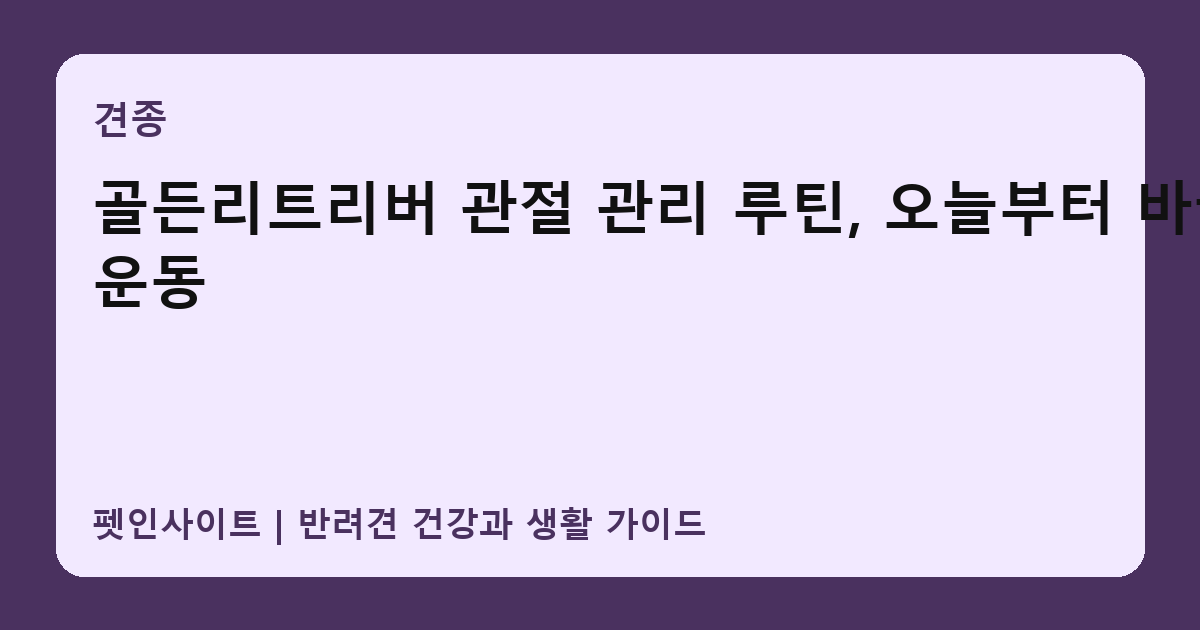 골든리트리버 관절 관리 루틴, 오늘부터 바꿀 운동 썸네일