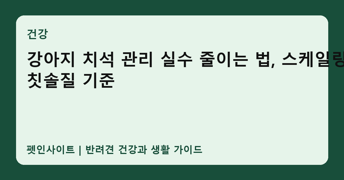 강아지 치석 관리 실수 줄이는 법, 스케일링와 칫솔질 기준 썸네일