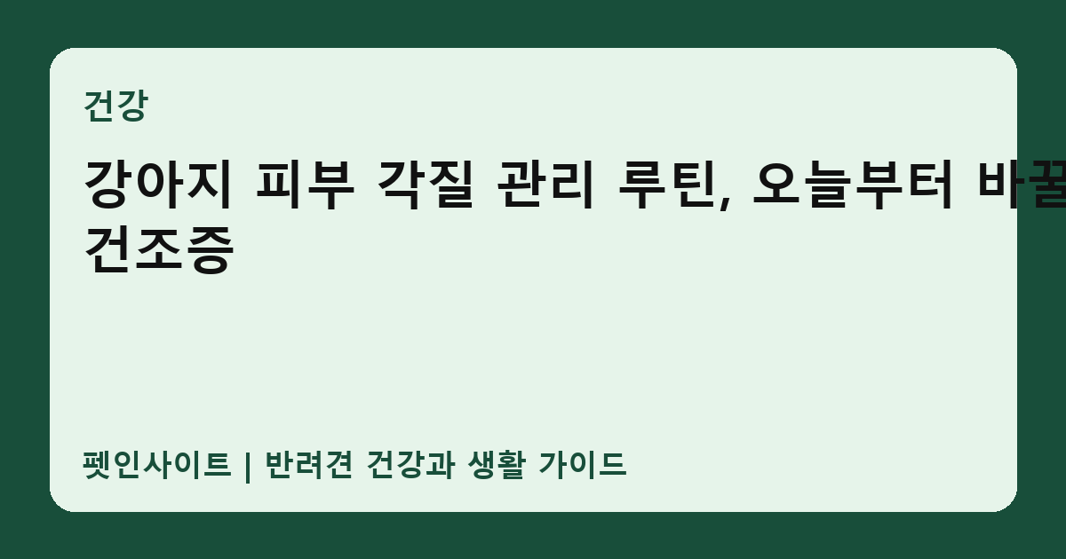강아지 피부 각질 관리 루틴, 오늘부터 바꿀 건조증 썸네일