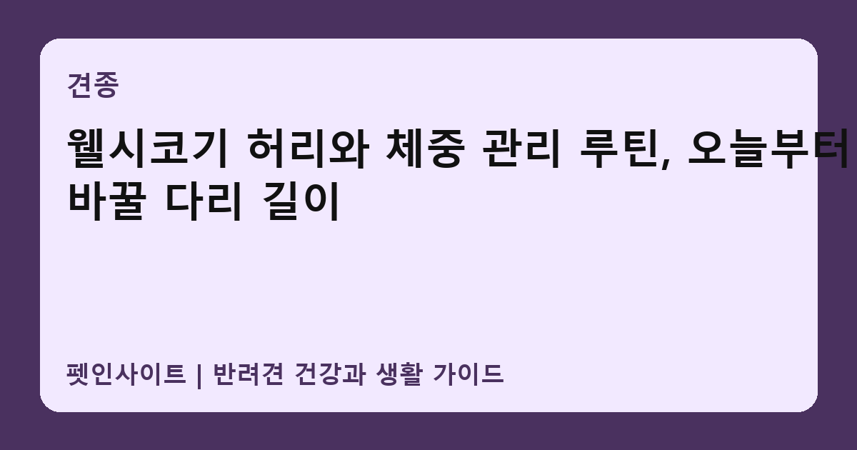 웰시코기 허리와 체중 관리 루틴, 오늘부터 바꿀 다리 길이 썸네일