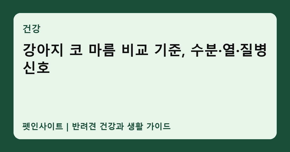 강아지 코 마름 비교 기준, 수분·열·질병 신호 썸네일