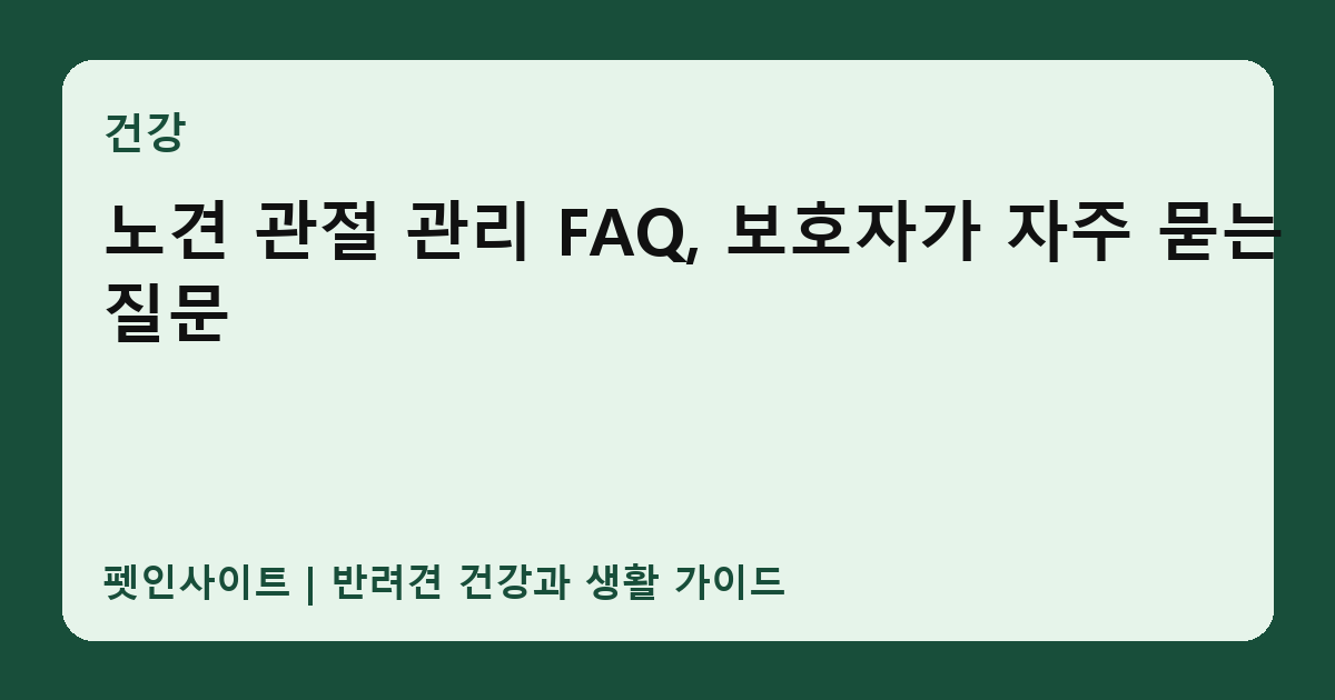 노견 관절 관리 FAQ, 보호자가 자주 묻는 질문 썸네일