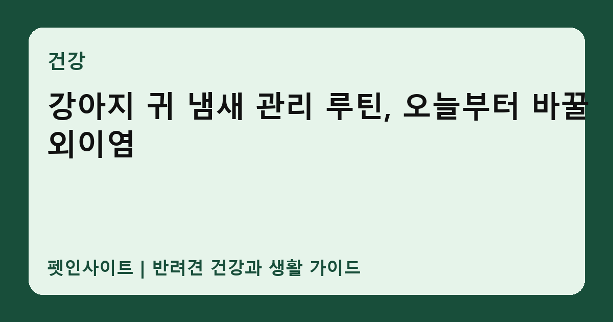 강아지 귀 냄새 관리 루틴, 오늘부터 바꿀 외이염 썸네일