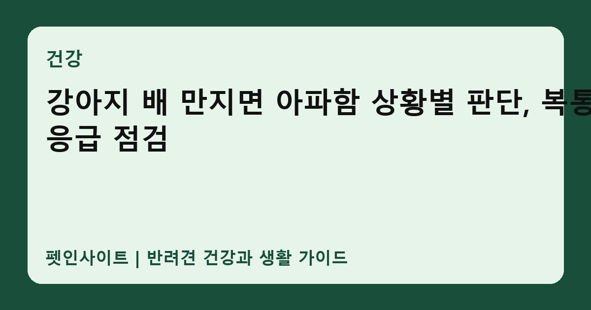 강아지 배 만지면 아파함 상황별 판단, 복통·응급 점검 썸네일