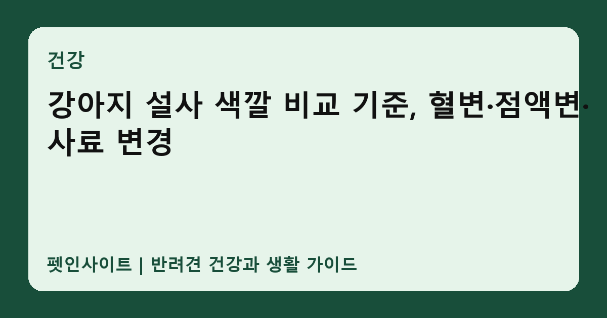 강아지 설사 색깔 비교 기준, 혈변·점액변·사료 변경 썸네일