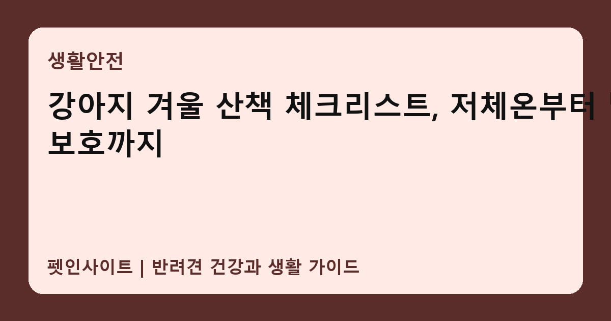 강아지 겨울 산책 체크리스트, 저체온부터 발 보호까지 썸네일