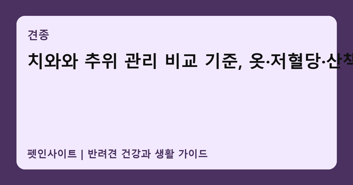 치와와 추위 관리 비교 기준, 옷·저혈당·산책 썸네일