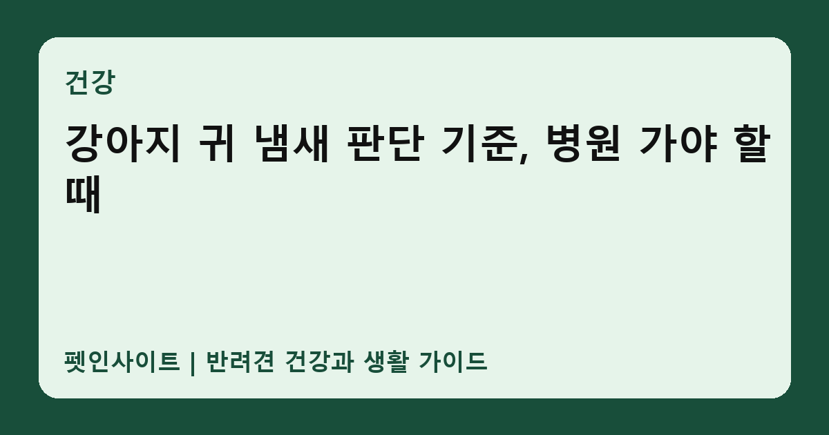 강아지 귀 냄새 판단 기준, 병원 가야 할 때 썸네일