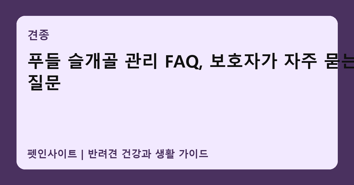 푸들 슬개골 관리 FAQ, 보호자가 자주 묻는 질문 썸네일
