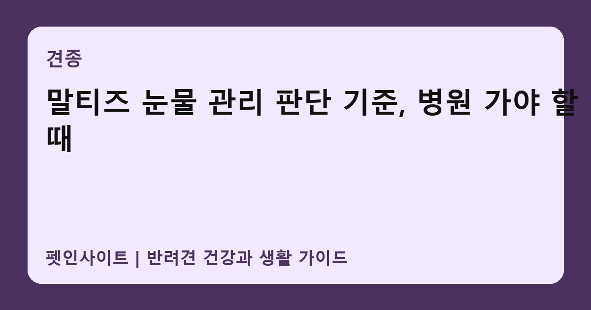 말티즈 눈물 관리 판단 기준, 병원 가야 할 때 썸네일
