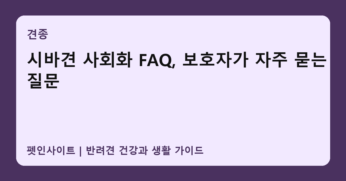 시바견 사회화 FAQ, 보호자가 자주 묻는 질문 썸네일