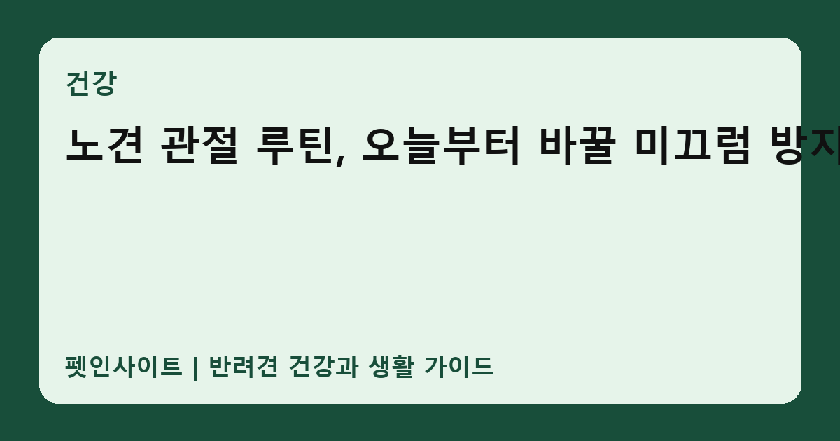 노견 관절 루틴, 오늘부터 바꿀 미끄럼 방지 썸네일