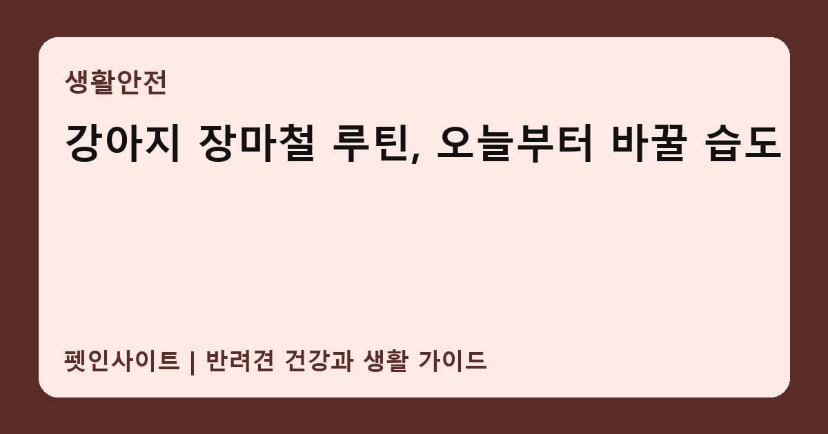 강아지 장마철 루틴, 오늘부터 바꿀 습도 썸네일