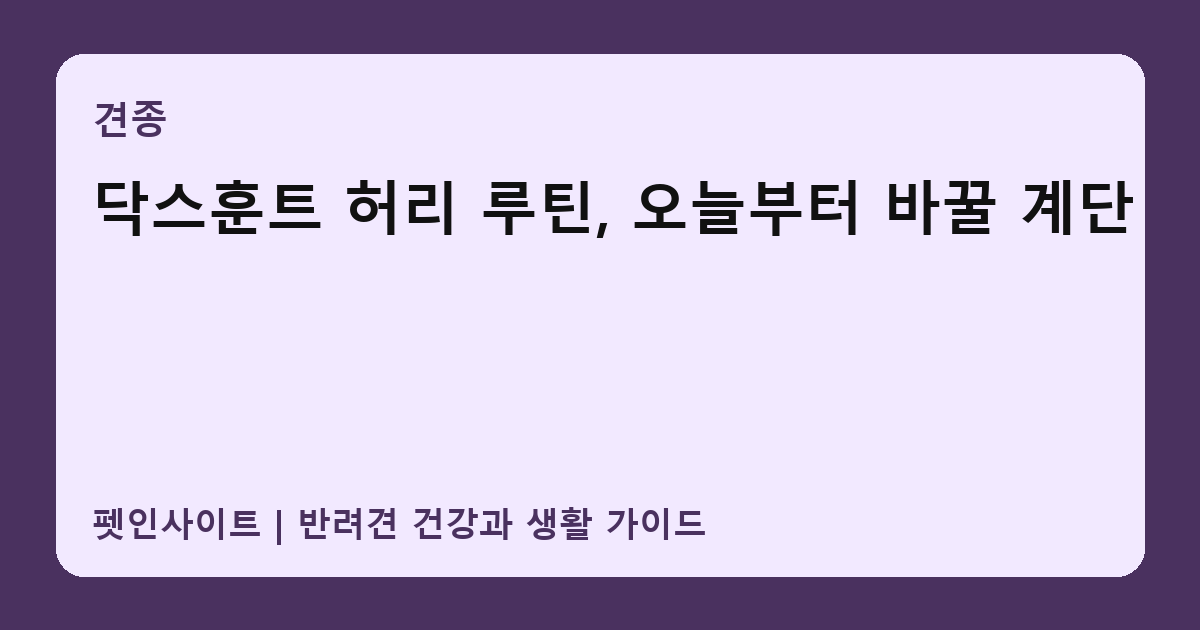 닥스훈트 허리 루틴, 오늘부터 바꿀 계단 썸네일