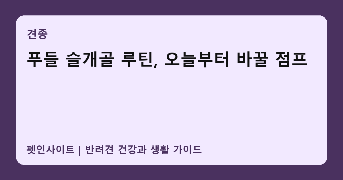 푸들 슬개골 루틴, 오늘부터 바꿀 점프 썸네일